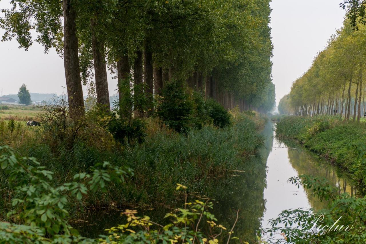 De Lievensmolen Villa Damme Bagian luar foto